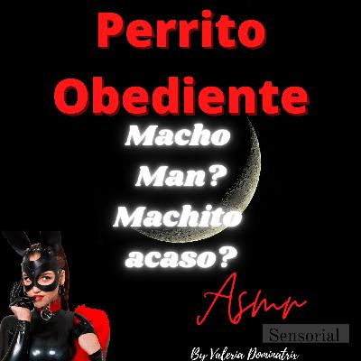Perrito obediente, que es un macho man para mi