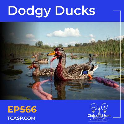 Dodgy Ducks