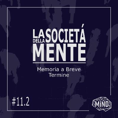 Memoria a Breve Termine - La Società della Mente