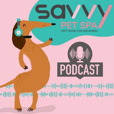 Can shampoo bars make additional income for you?