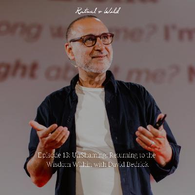 UnShaming: Returning to the Wisdom Within with David Bedrick