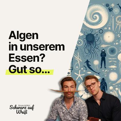 Weißt du genug über die Weltmeere? - Blue Machine: How the Ocean Shapes Our World Taschenbuch von Helen Czerski Weißt du genug über die Weltmeere? - Blue Machine: How the Ocean Shapes Our World Taschenbuch von Helen Czerski