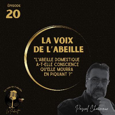 #20 - L'abeille domestique a-t-elle conscience qu'elle mourra en piquant ?