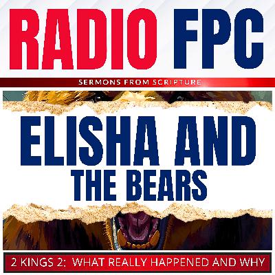 Elisha And The Bears (What Really Happened)