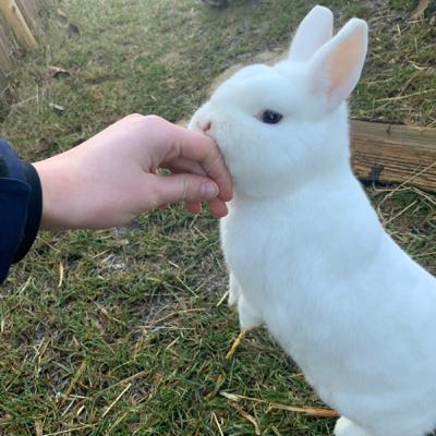 Die meist gestellten Fragen//Ich beantworte eure Fragen♥️