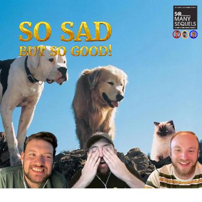 Homeward Bound: The Ultimate Family Adventure