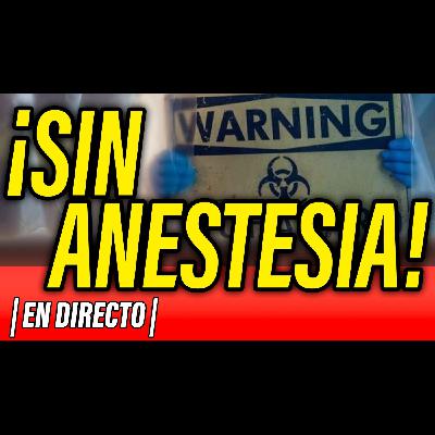 Jede Katze schnurrt anders