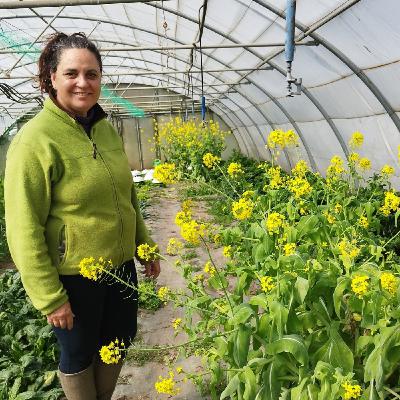 Una visita a la huerta ecológica Erañazabal.