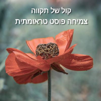 תחת קורת שבר - חלק ב || המסע של חיים תחת קורת שבר - חלק ב || המסע של חיים