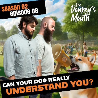 Can Your Dog Really Understand You?