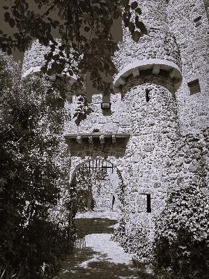 Coracera Castle: Love Me...Or Else