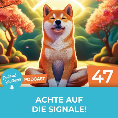 47# Achte auf die Signale! 47# Achte auf die Signale!