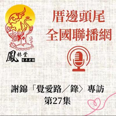 第27集  關於「第三章」C--「覺察」舉例