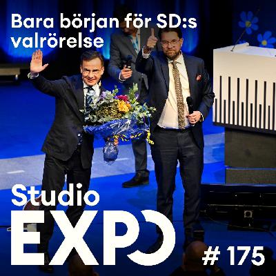175. Bara början för SD:s valrörelse 175. Bara början för SD:s valrörelse