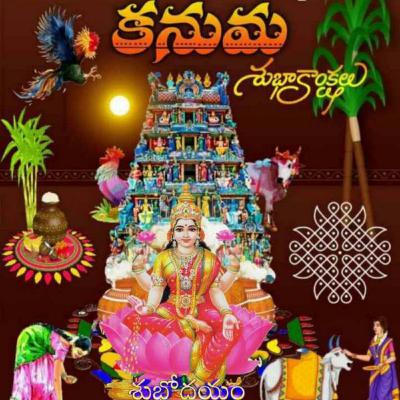 కనుమ పండుగ సంబరాలు
- Kanuma panduga.
