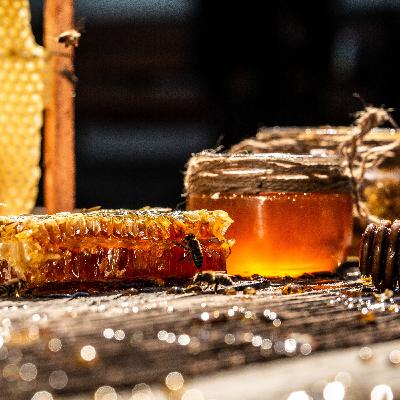 The Buzz On 2025 Honey Yield