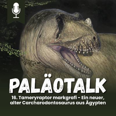 16. Tameryraptor markgrafi - Ein neuer, alter Carcharodontosaurus aus Ägypten 16. Tameryraptor markgrafi - Ein neuer, alter Carcharodontosaurus aus Ägypten