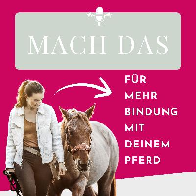 Was, wenn dein Pferd DICH trainiert – und nicht umgekehrt? Was, wenn dein Pferd DICH trainiert – und nicht umgekehrt?
