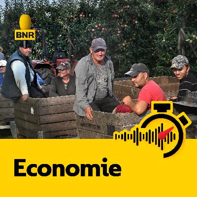 Bedrijfsleven moet zich richten op niet-EU-landen: ‘Arbeidsmigratie uit Oost-Europa zal droogvallen’