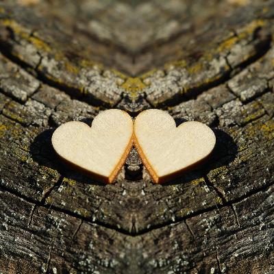 Capítulo #4 Renovación Erótica