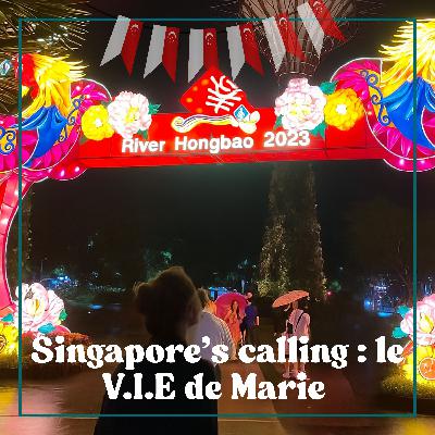 #5 Singapore's calling : le V.I.E de Marie