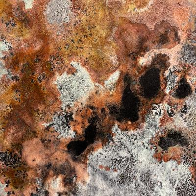 Cuando se quema la raiz Cuando se quema la raiz