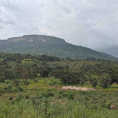 Naturskjønne og logistisk sett utfordrende Guinea Naturskjønne og logistisk sett utfordrende Guinea