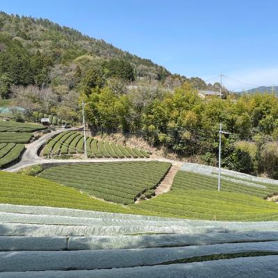 サラリーマンが総理大臣と会う事よりもやりたかった事