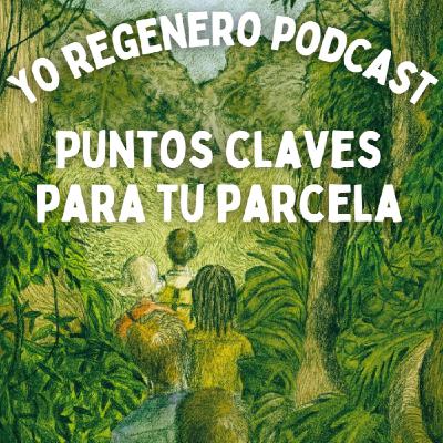 Puntos Claves para tu Parcela