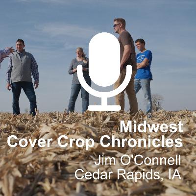 MIdwest Cover Crop Chronicles- Cedar Rapids Iowa