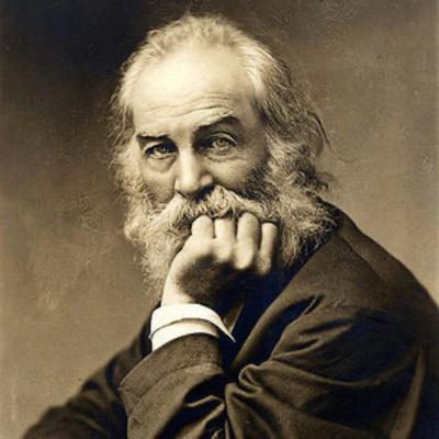 Walt Whitman Cont.
