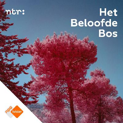 #1 - Zakgeld