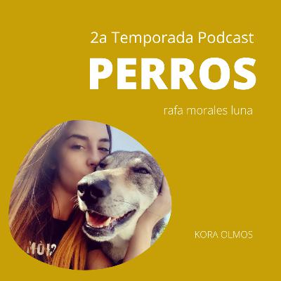 REACTIVIDAD CANÍNA - KORA OLMOS