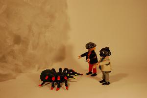 Versus Spider