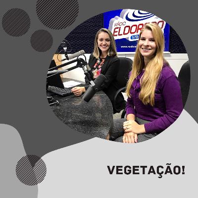 Vegetação Vegetação