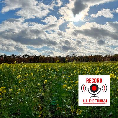Folge 12: Fieldrecording Basics Folge 12: Fieldrecording Basics