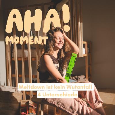 Aha! Moment: Meltdown oder Wutanfall? 4 Unterschiede Aha! Moment: Meltdown oder Wutanfall? 4 Unterschiede