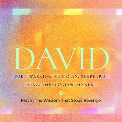 DAVID Part 8: The Wisdom That Stops Revenge