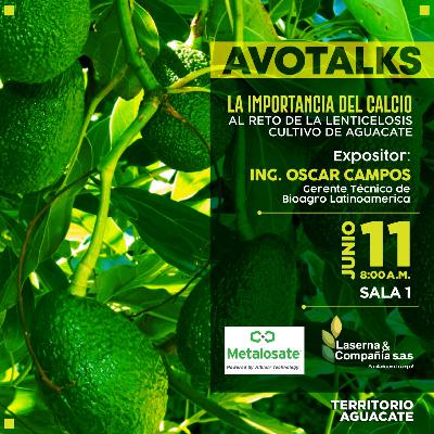 Lenticelosis en Cultivo de Aguacate - Avotalks 2021