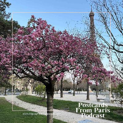Spring into Presence: From Distraction into Action Spring into Presence: From Distraction into Action