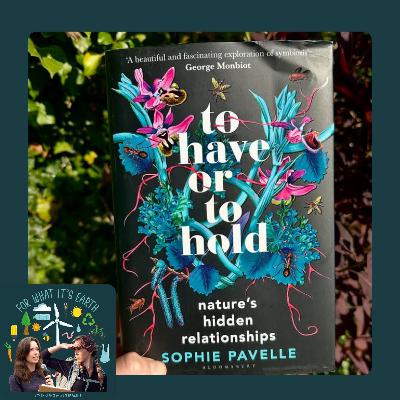 Bonus: To Have or To Hold, an exclusive look at Sophie Pavelle's new book