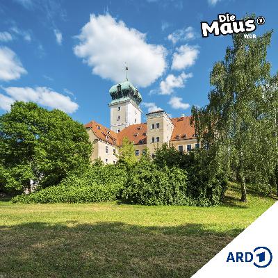 Schloss retten