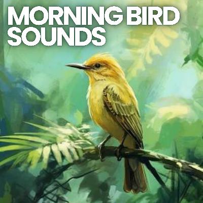 🦜 MORNING BIRD SOUNDS 10 HOURS | Best Start of the Day