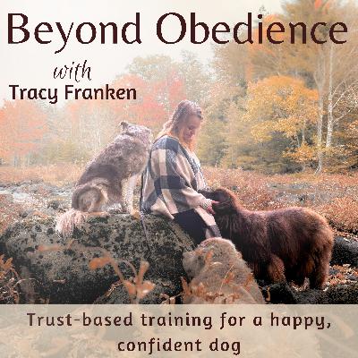 149 | It's Not Personal, It's Pack Mentality {Peace in the Pack Series}