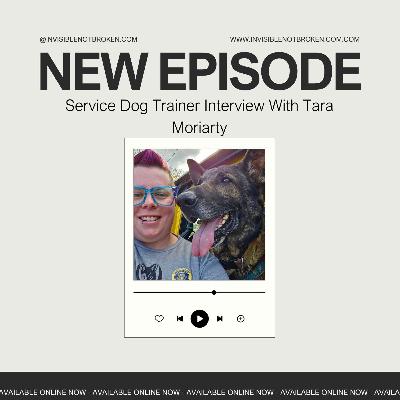 Interview With Service Dog Trainer: Tara Moriarty