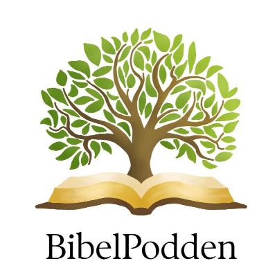 Vilken bibelöversättning ska man välja? BibelPodden #10