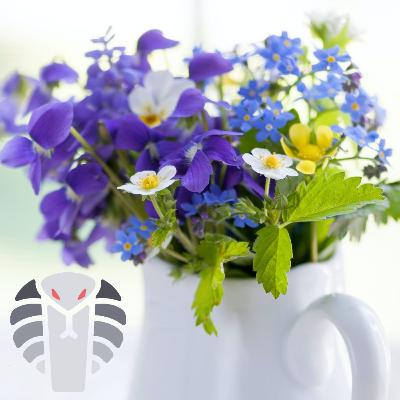 A Summer of Spring by Vivian C Lermond | Short drama | White Cobra A Summer of Spring by Vivian C Lermond | Short drama | White Cobra