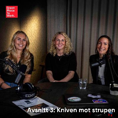 Avsnitt 3: Kniven mot strupen (Så skapar du framgångsrika värderingar) Avsnitt 3: Kniven mot strupen (Så skapar du framgångsrika värderingar)