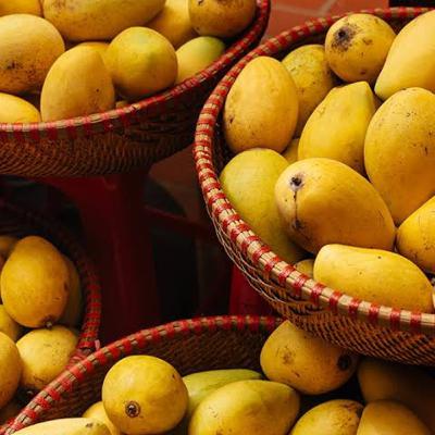Mango 🥭 Lovers Assemble 🥭😋🤩
