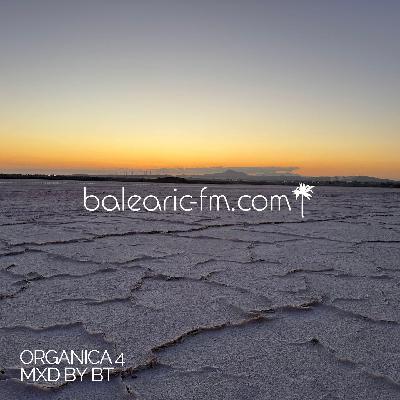 Organic Mix (004) (BigT)